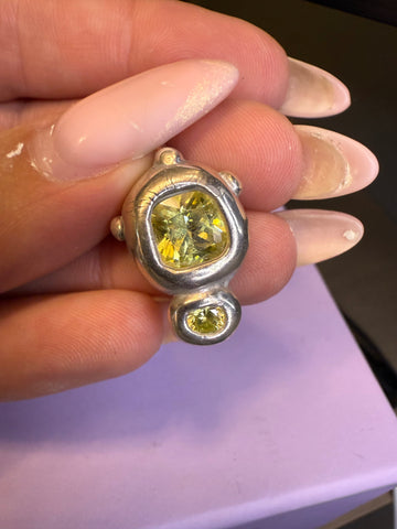 CHARMS