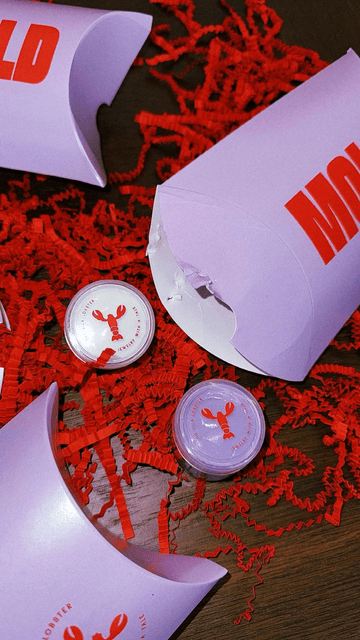 INSTRUCTIONS (MOLD KIT) - TheLilaLobster