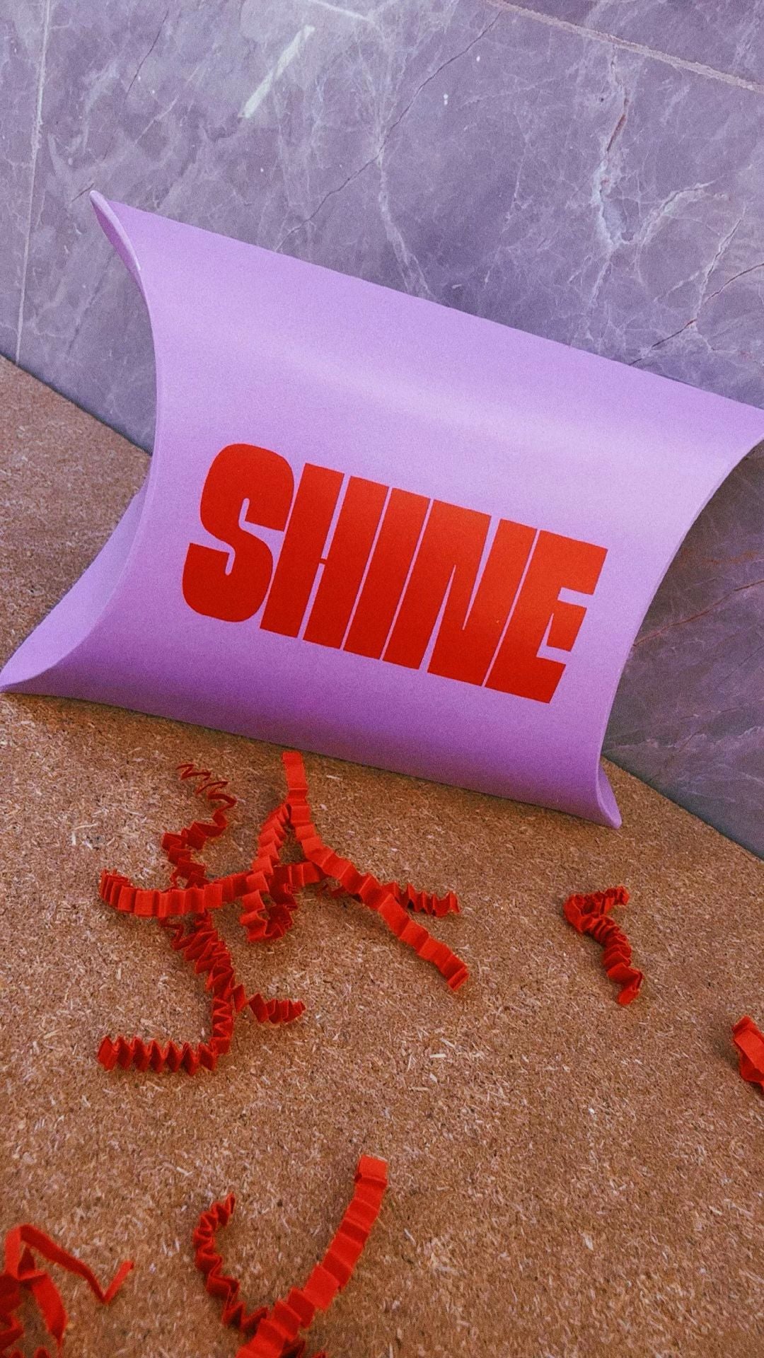 SHINE KIT INSTRUCTIONS by THE LILA LOBSTER