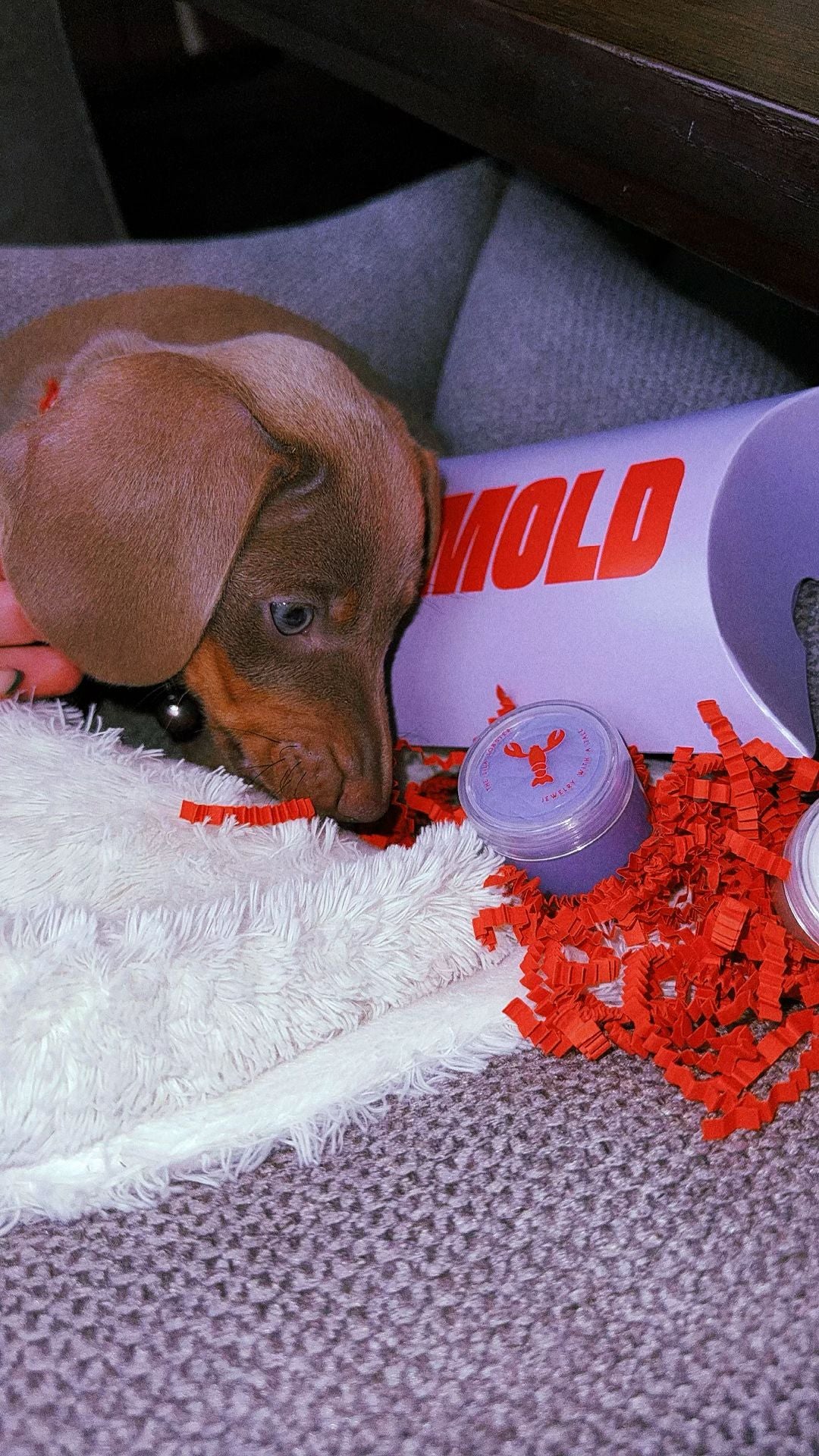 MOLD INSTRUCTIONS by THE LILA LOBSTER